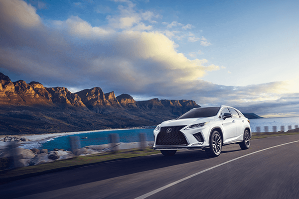 2021 RX -Performance