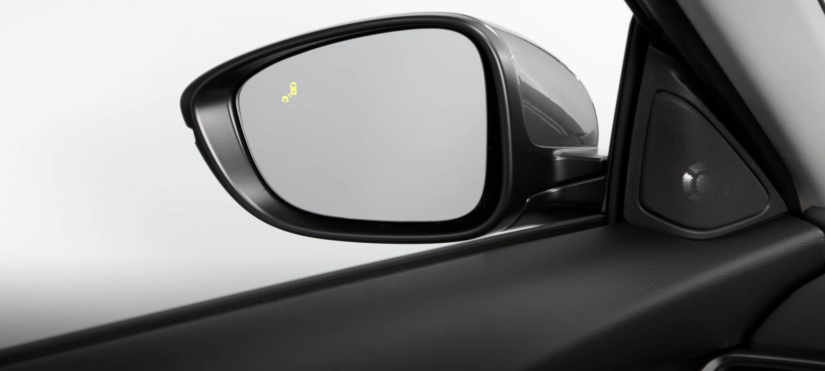 Blind Spot Information