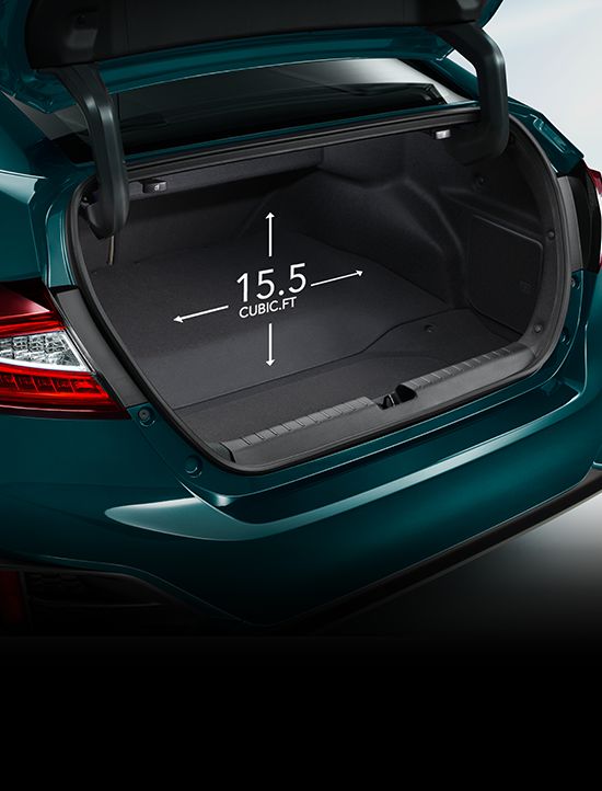 Large-Capacity Trunk