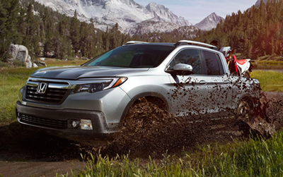 Ridgeline