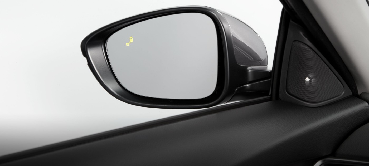 Blind Spot Information (BSI)