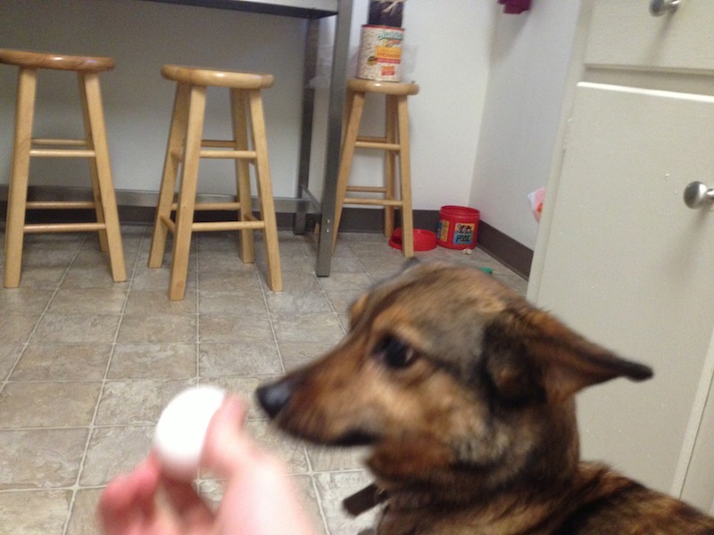 Roxy with Egg