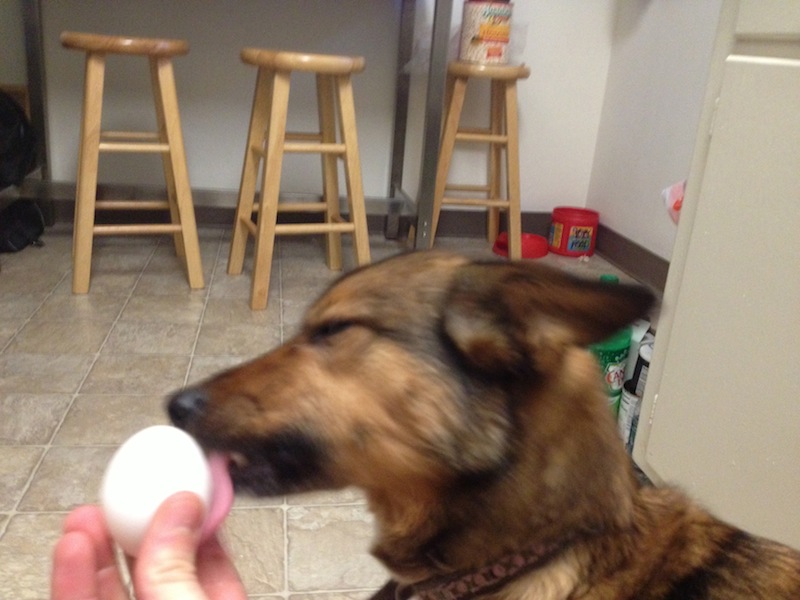 Roxy with Egg