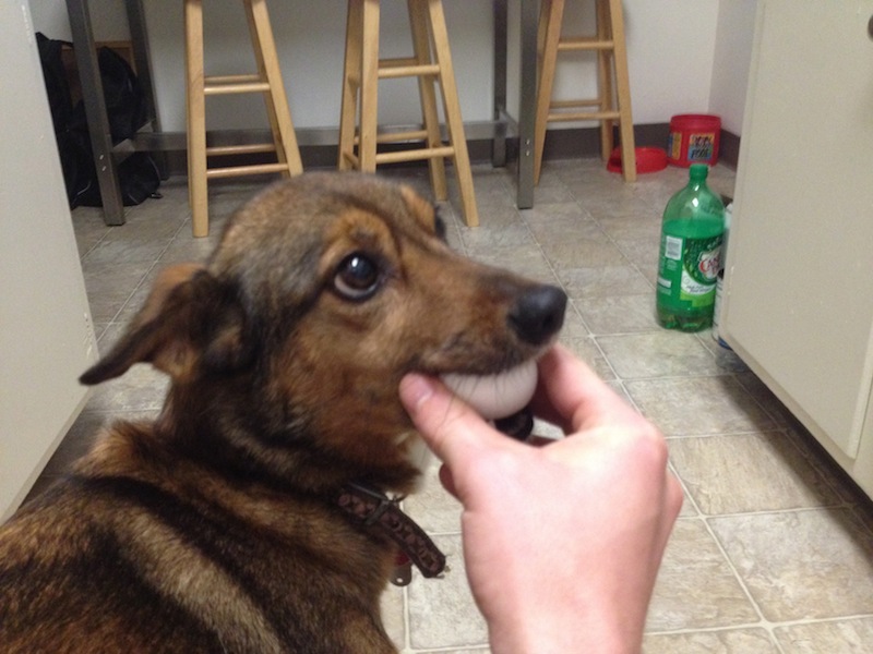 Roxy with Egg