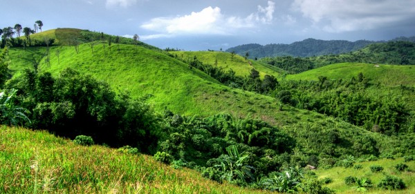 What is the Value of an Ever Green Game