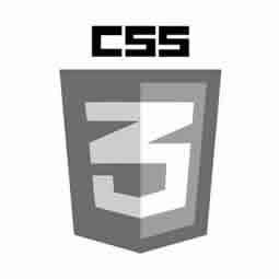 CSS