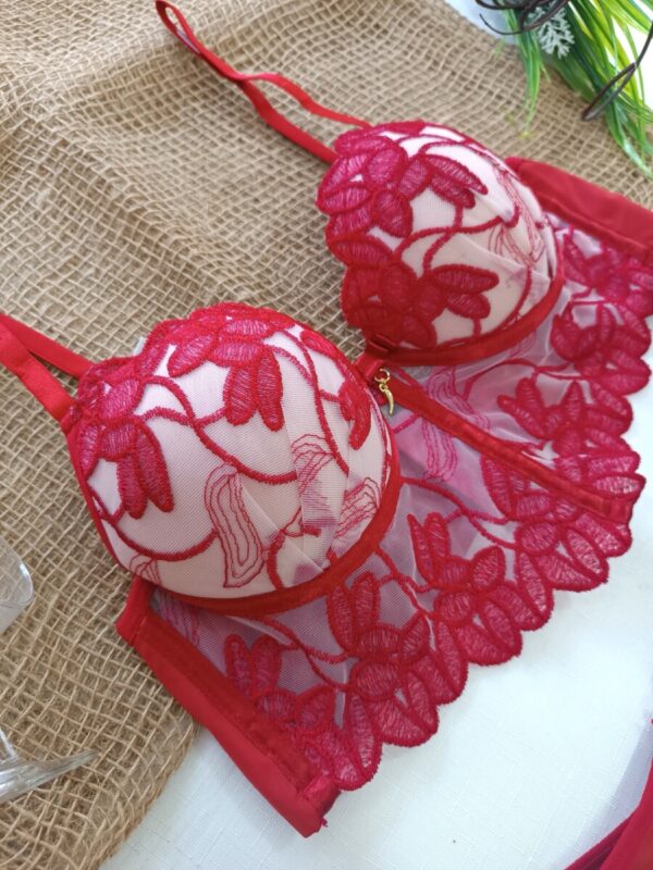 detalhe da renda do soutien croped