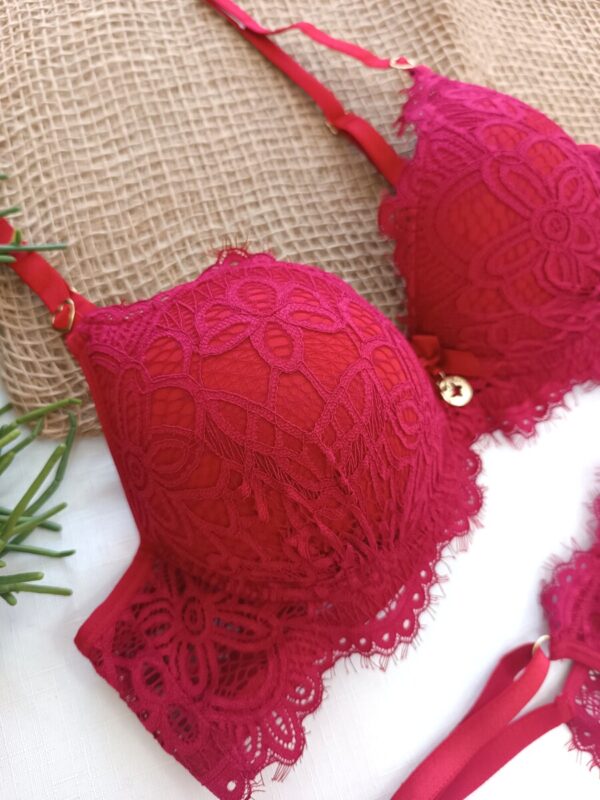 Soutien do conjunto de lingerie com renda vermelho Sofia