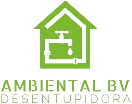 logo-ambiental-bv-site