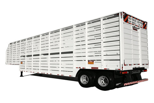 boiadeira-grande boiadeira-grande