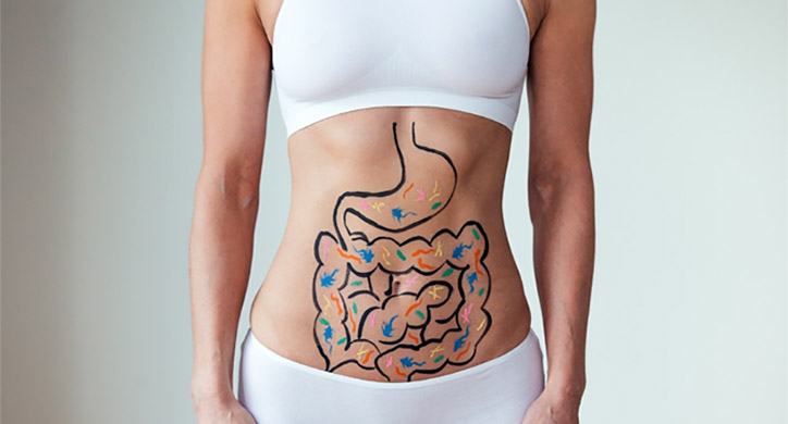 Your Second Brain: Gut Microbiota