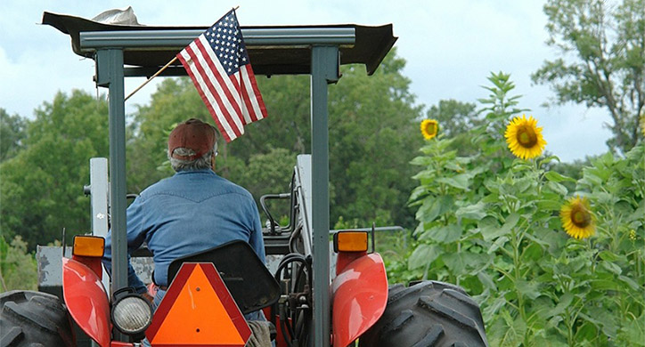 Going…Going…Local!