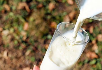 Digging Deeper: Pasteurization