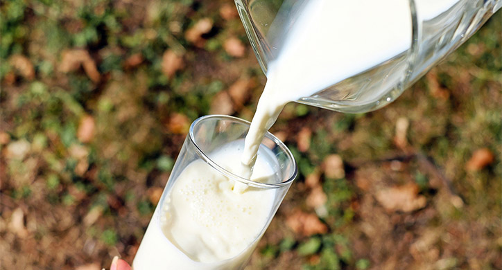 Digging Deeper: Pasteurization