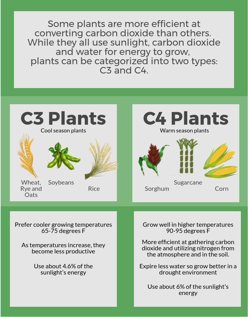 CO2 Fertilization
