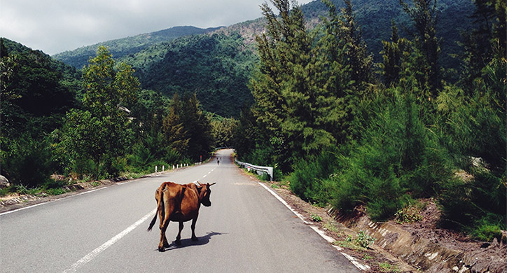 The Green New Deal: Where’s the Beef?
