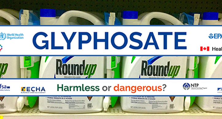 Does glyphosate—the world’s most heavily-used herbicide—pose serious harm to humans?