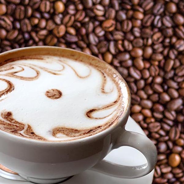 Dirt-to-Dinner Journey: Coffee