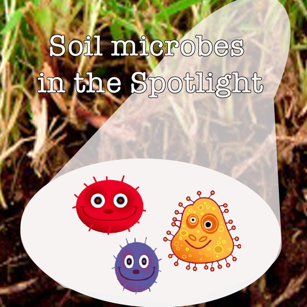 Soil Microbes in the Spotlight