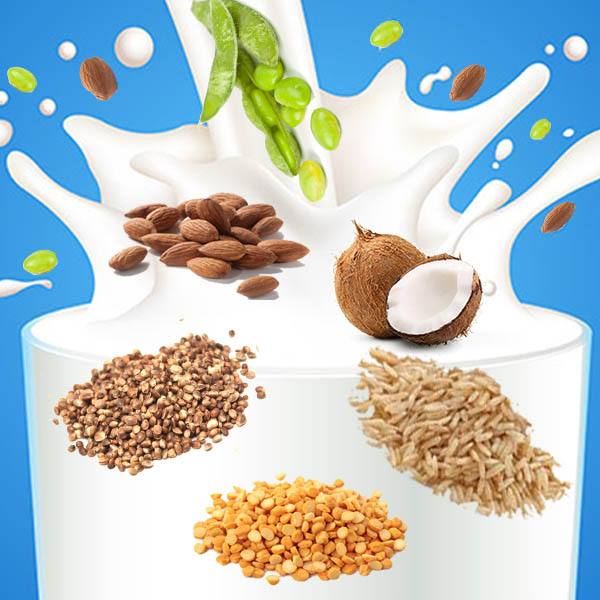 Milk and “Milk” Alternatives: Which one is right for you?