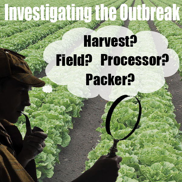 The FDA’s Role in Solving a Foodborne Illness Outbreak
