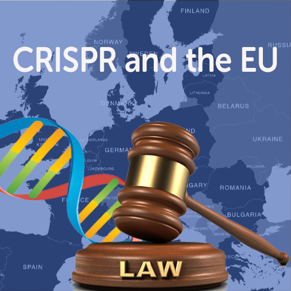 In the News: European Court Hinders CRISPR Technology