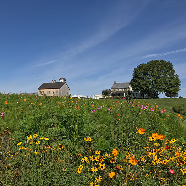 CO2: The Greatest Fertilizer of All