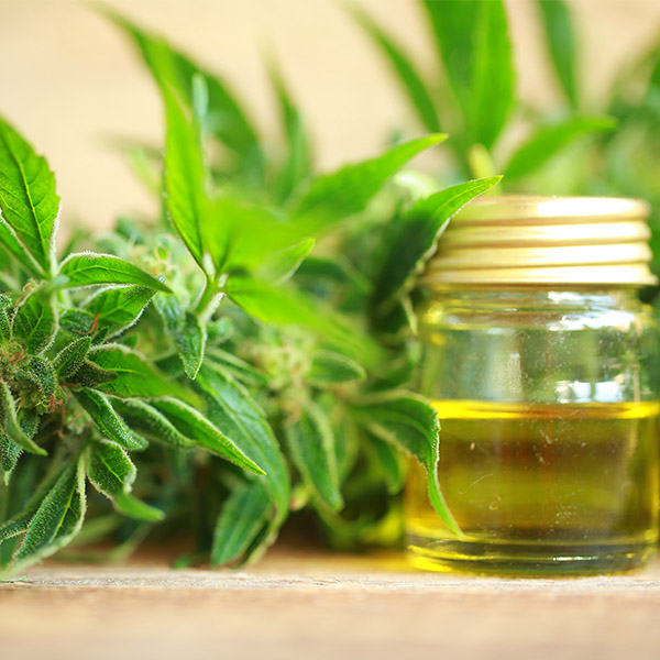 The (Potential) Power of CBD