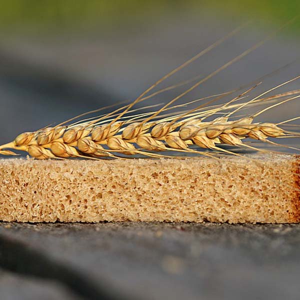 Should I Go Gluten Free?