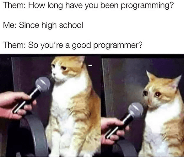 good-programmer-meme