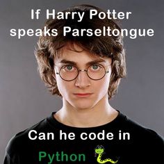 f61896dd497a339161fc306f807865e3--programming-harry-potter