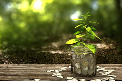 bundle-ecc-earn