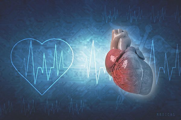 electromagneticardiogram electromagnetic cardiogram
