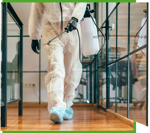 Professional Cleaning Service In Chicago