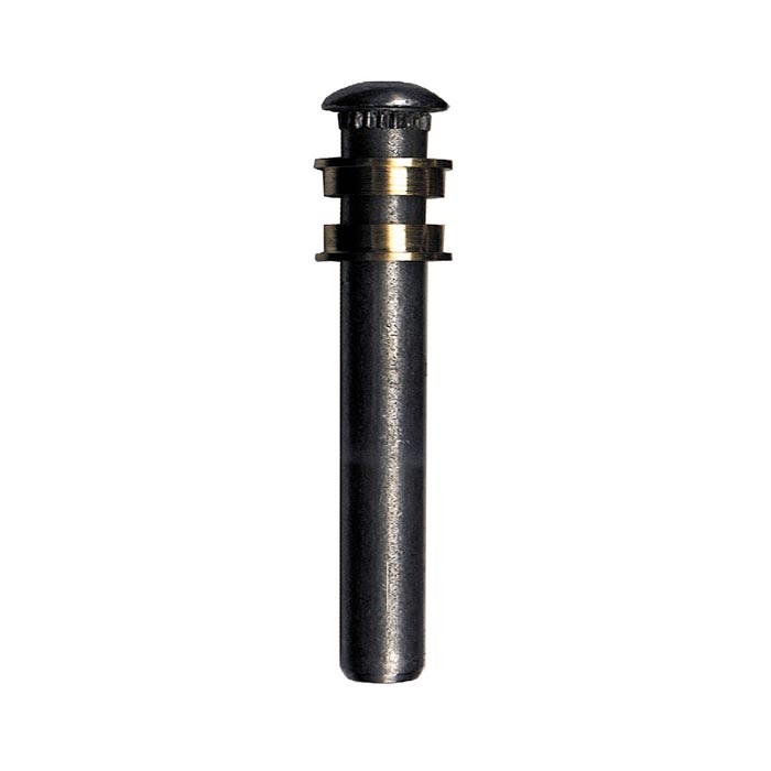 Perno de Puerta para Ford F-100 1988 / 1998