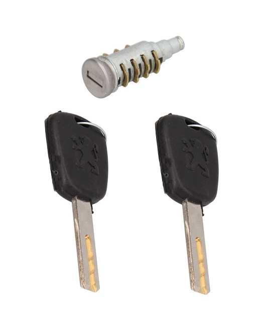 Cilindro de Puerta para Peugeot 307 2001 / 2012 Interno con 2 Llaves