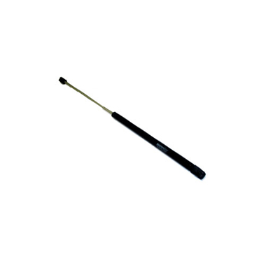 Amortiguadores de Capot Bora / Golf Iv Desde 1999
