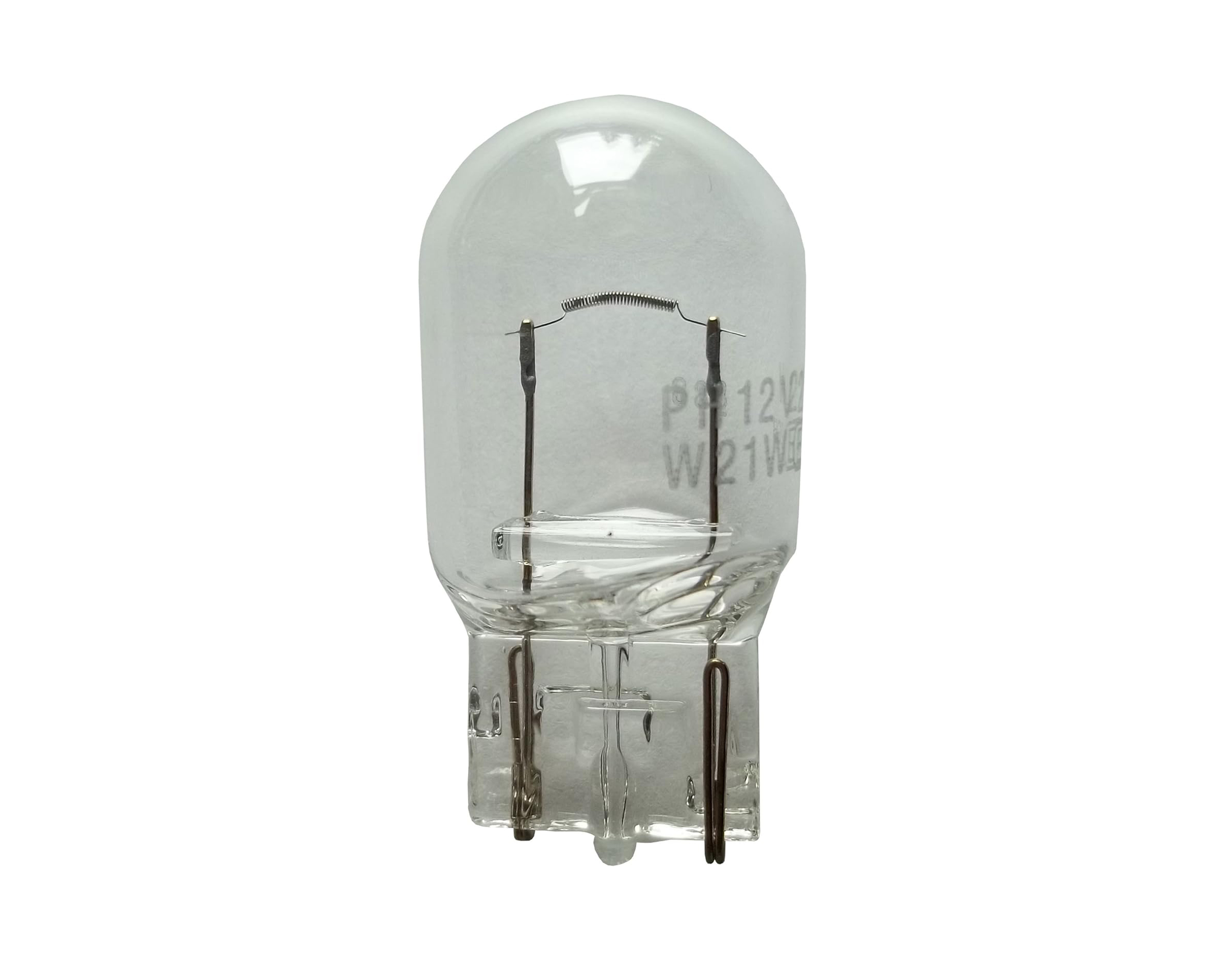 Lámparas 1 Polo sin Culote 24 V 5 W Piojito 13961