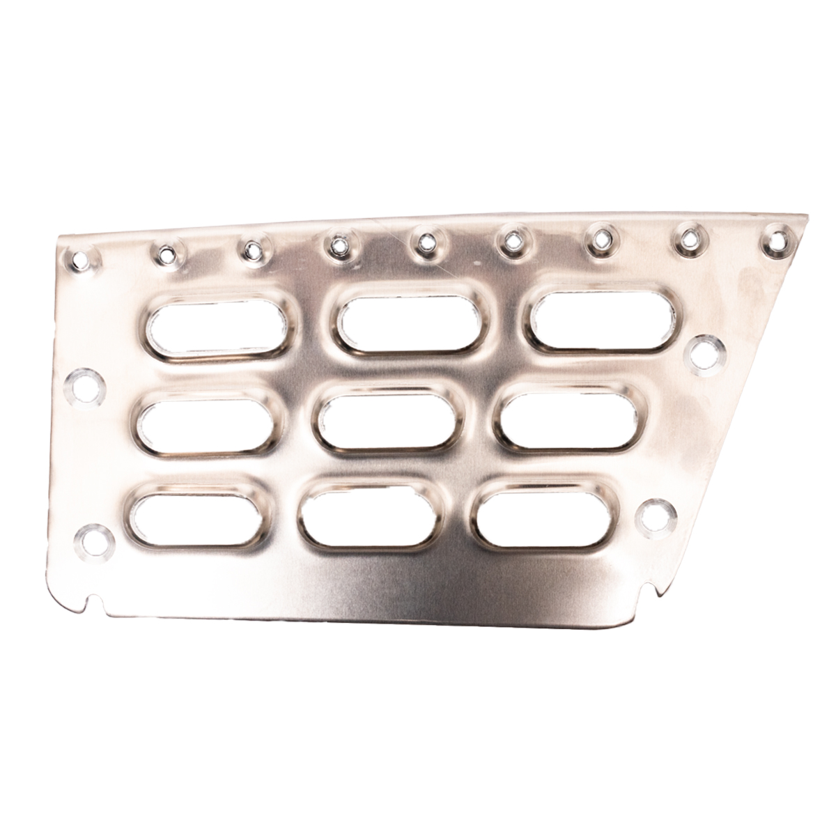 Estribo FH2 / FM2 2003-2016 Pisadera inferior izquierda