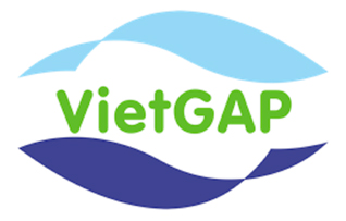 Hình ảnh có liên quan