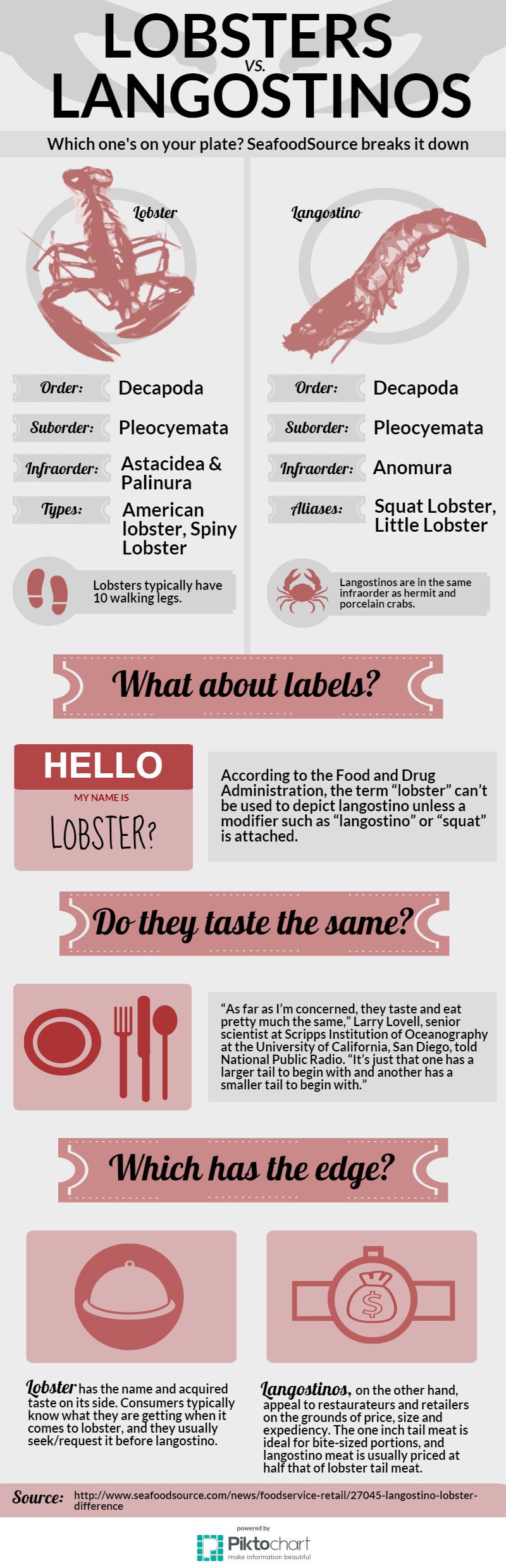 Infographic Lobsters vs. Langostinos SeafoodSource