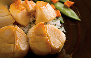 scallop prices