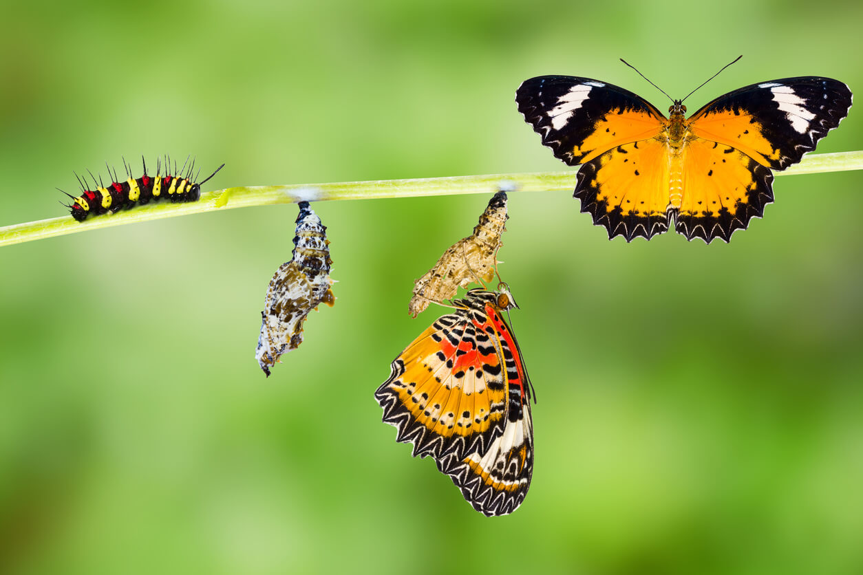 It’s Time to Take a Fresh Look at Your Brand – Here’s How