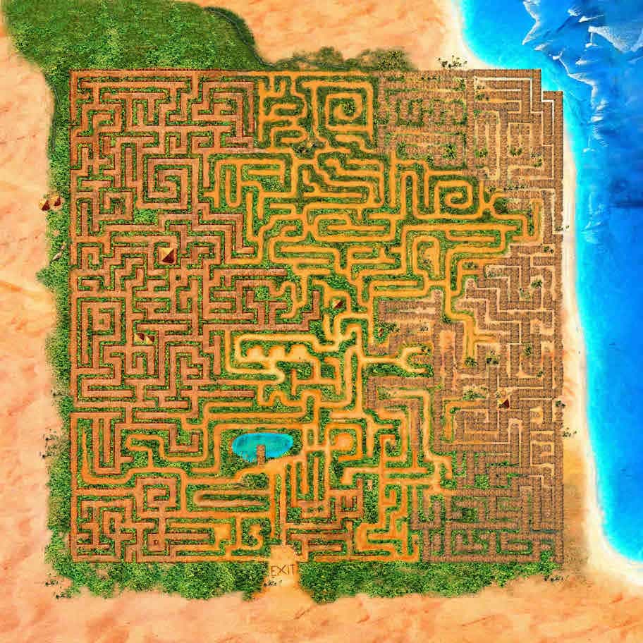 Maze Moves