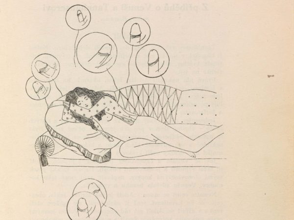Alissa Bennett imagines the meeting of a pair of artists who redefined erotic symbolism