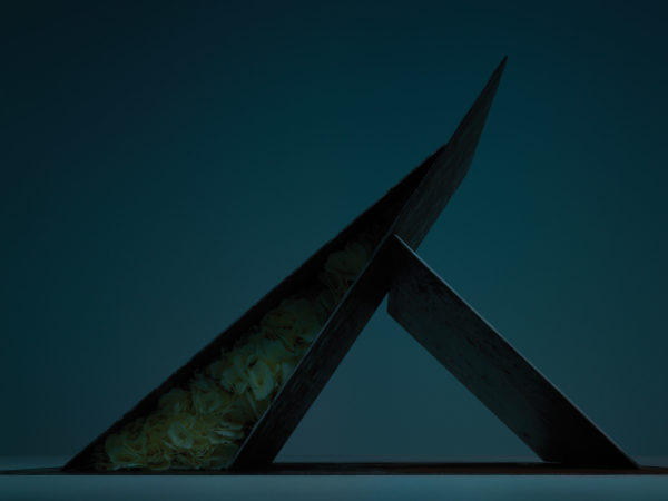 Dan Tobin’s brutal landscapes defy nature