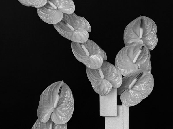 Decorative Growth