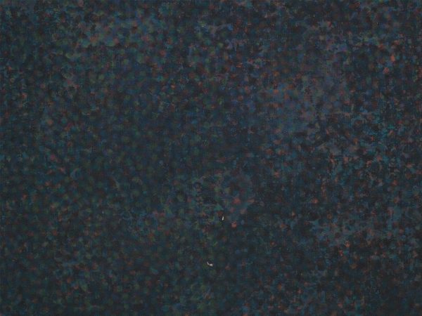 The world through a pinhole: the unseen paintings of Howardena Pindell