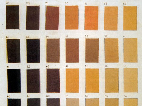 Shades of Skin: exploring the complex history of colorism around the world