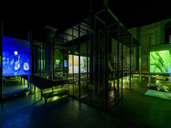 Finding beauty in the in-between at the Venice Biennale
